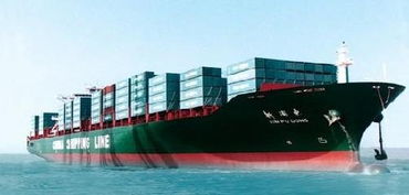 吉林到衢州的海运货代公司价格 吉林到衢州的海运货代公司型号规格
